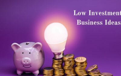 Low Investment Business Ideas