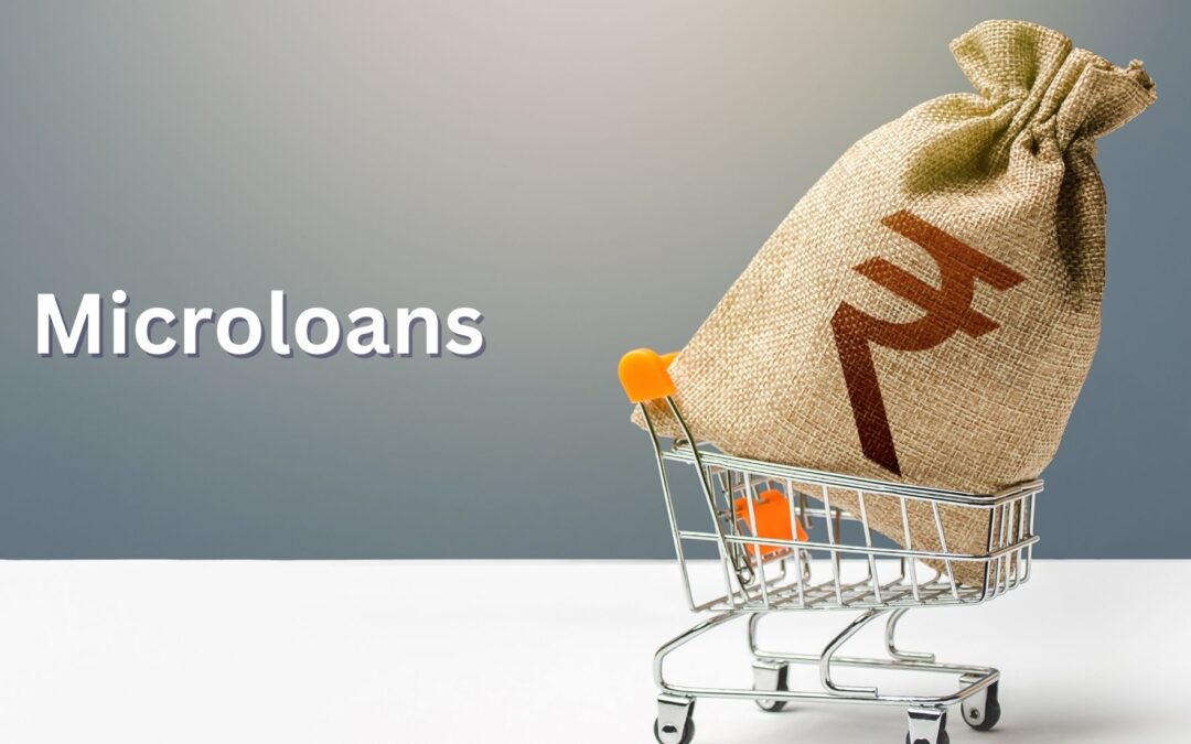 Microloans and their Growing Popularity in the Financial World