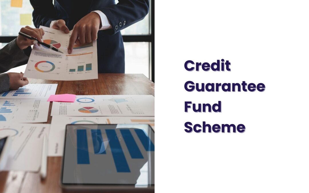 Credit Guarantee Fund Scheme – All You Need To Know